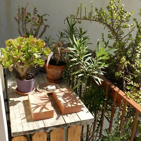 Spirduta Di Levante Apartmán